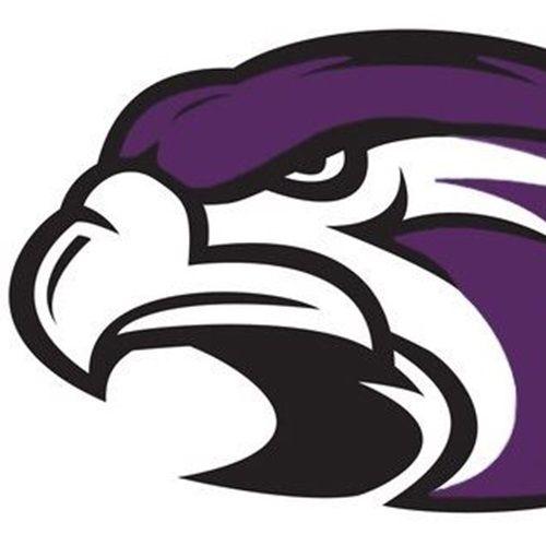Purple Hawk Logo LogoDix