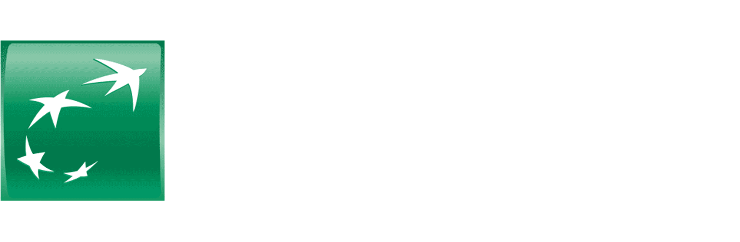 BNP Paribas Logo LogoDix