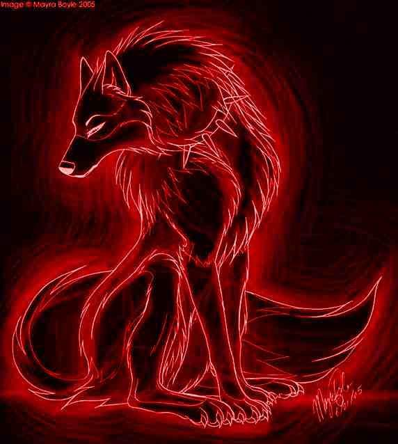 Wallpaper Black And Red Wolf Please contact us if you want to publish a