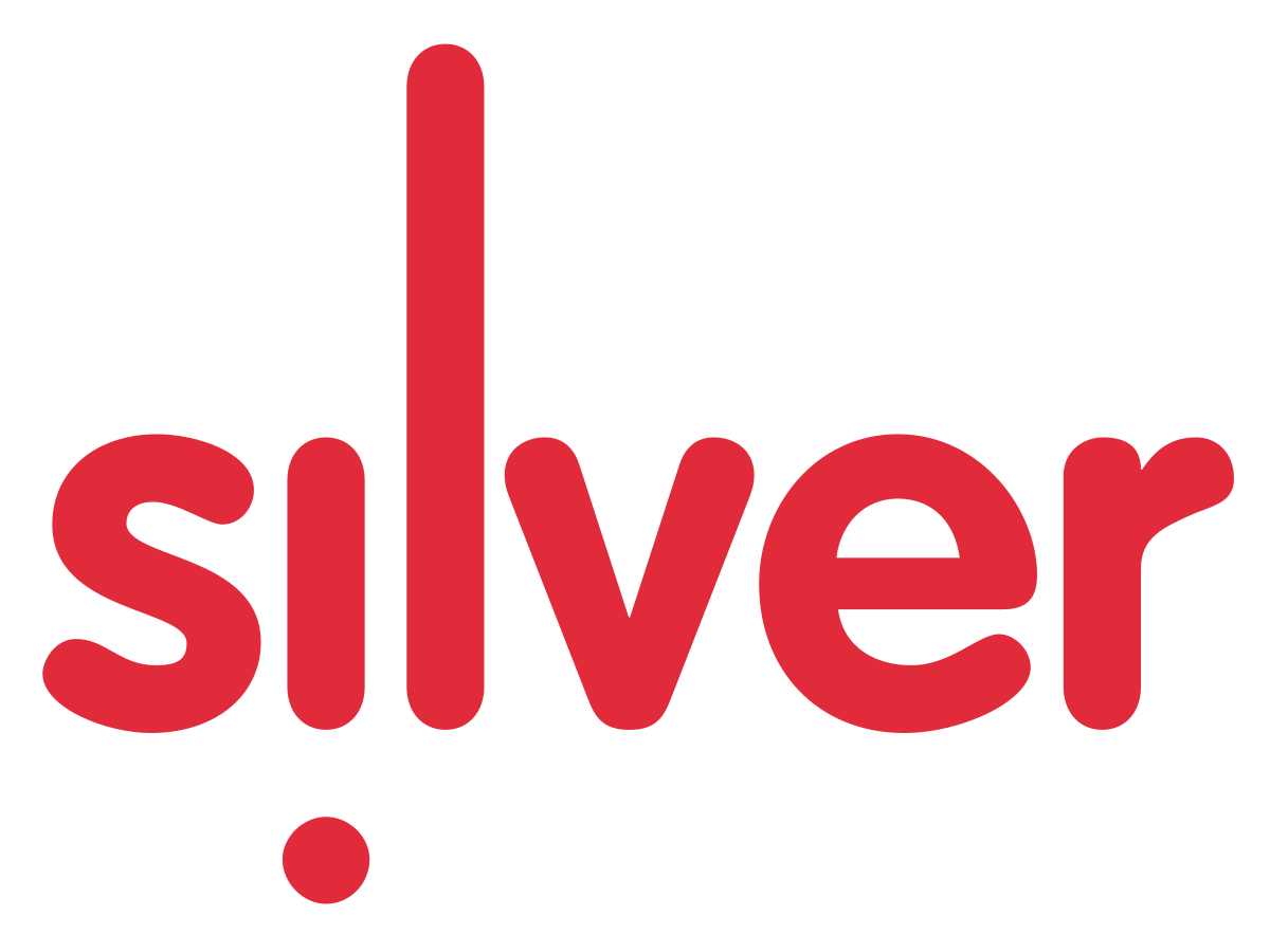Silver Logo LogoDix