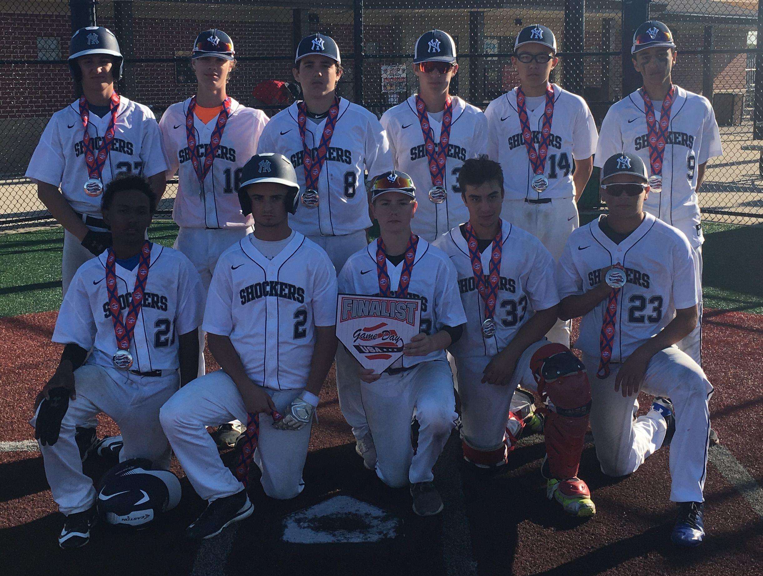 Indiana Lafayette Lightning Baseball Team Logo