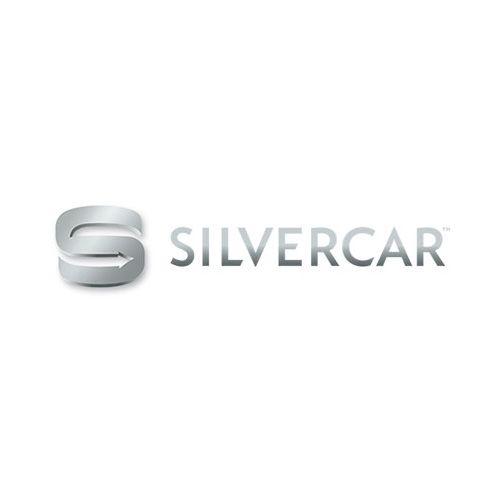 Silver Car Logo LogoDix