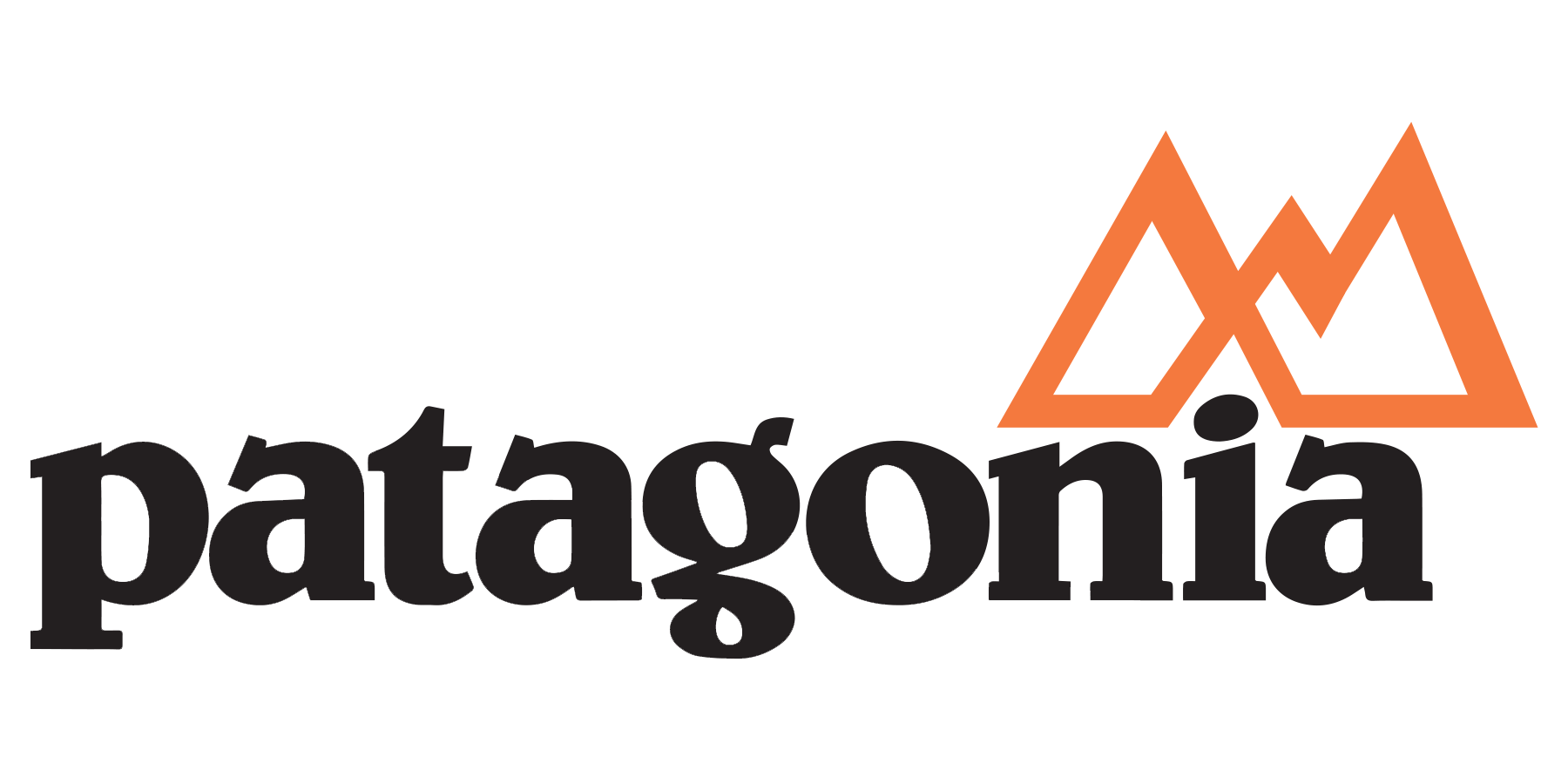 Patagonia Clothing Logo LogoDix