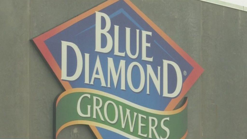 Blue Diamond Growers Logo LogoDix