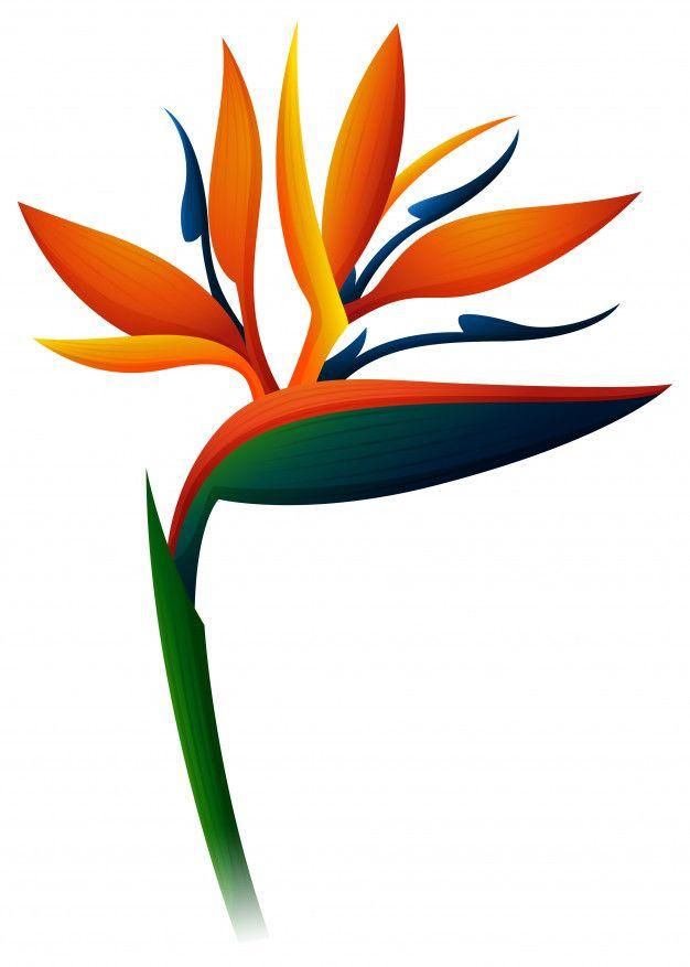 Bird of Paradise Flower Logo LogoDix
