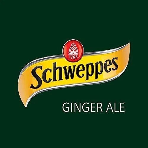 Ginger Ale Logo LogoDix