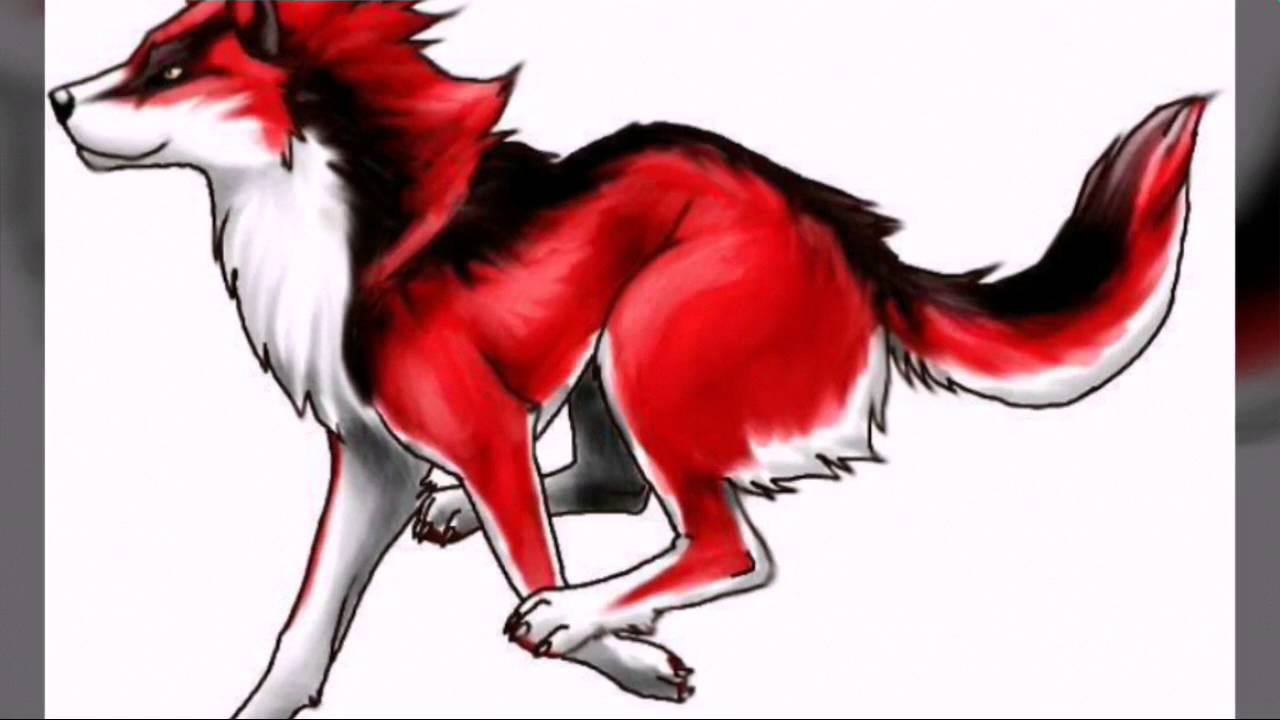 Anime Red Wolf Logo