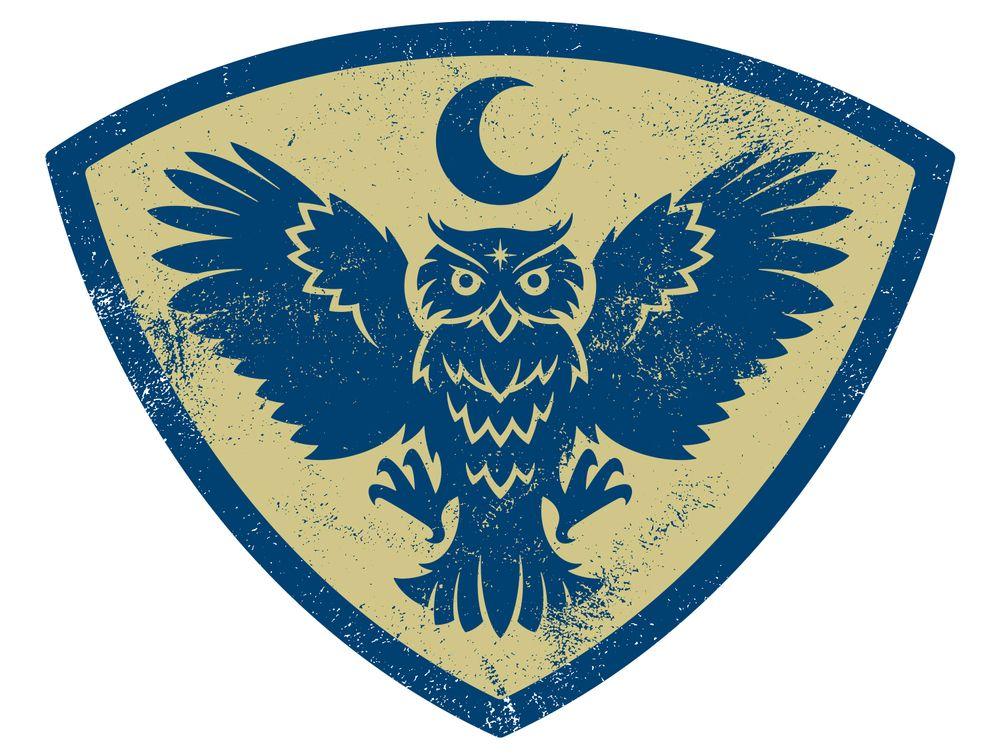 Night Owl Logo LogoDix