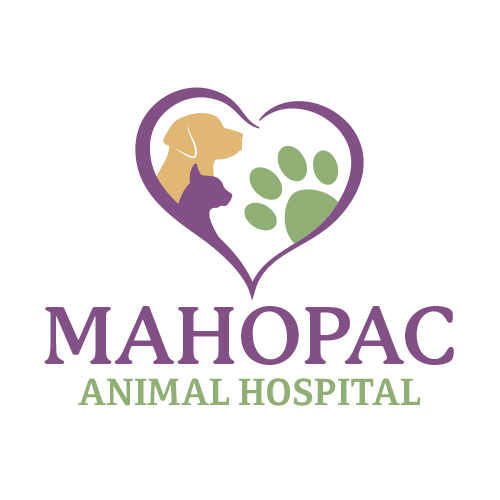 Animal Hospital Logo LogoDix
