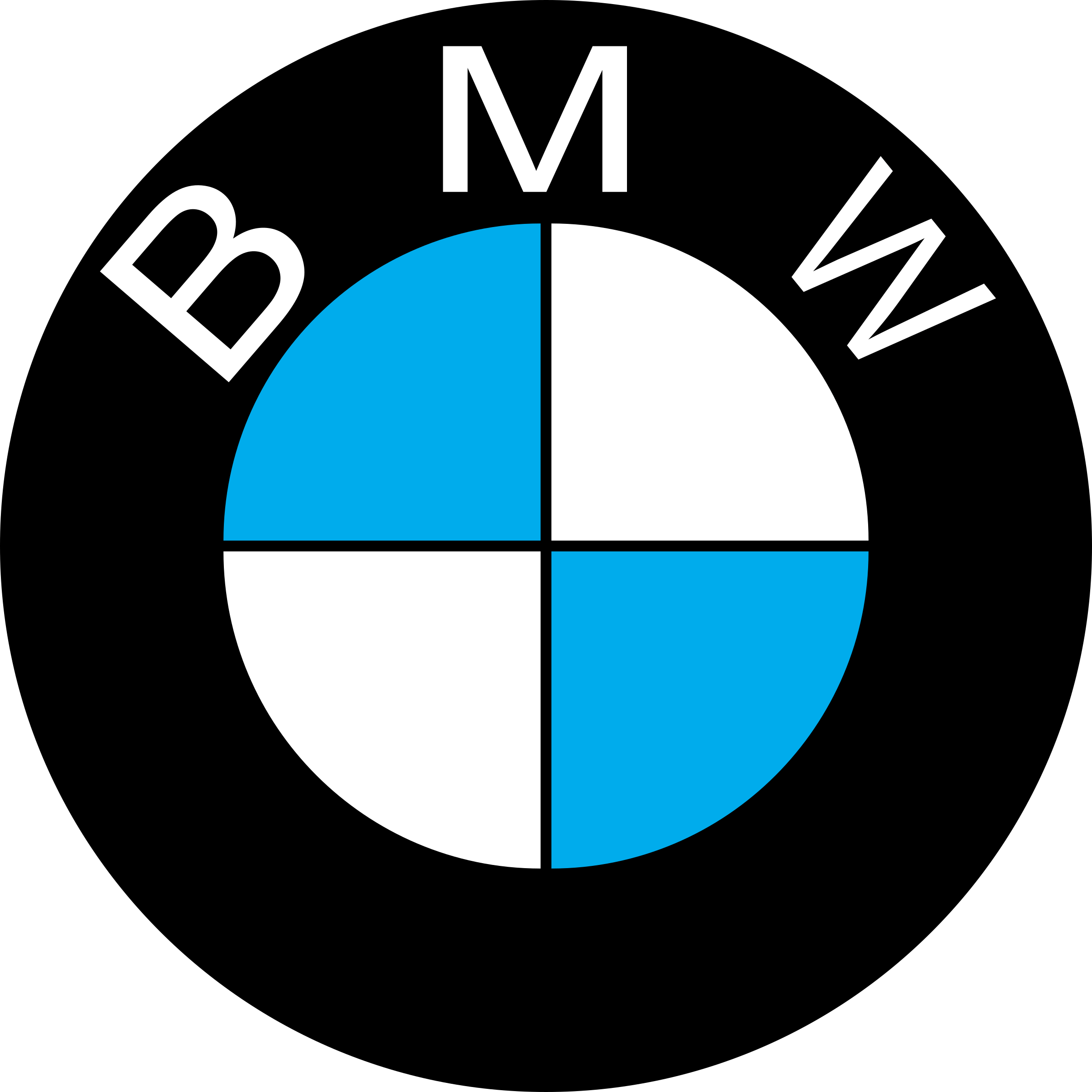 BWM Logo
