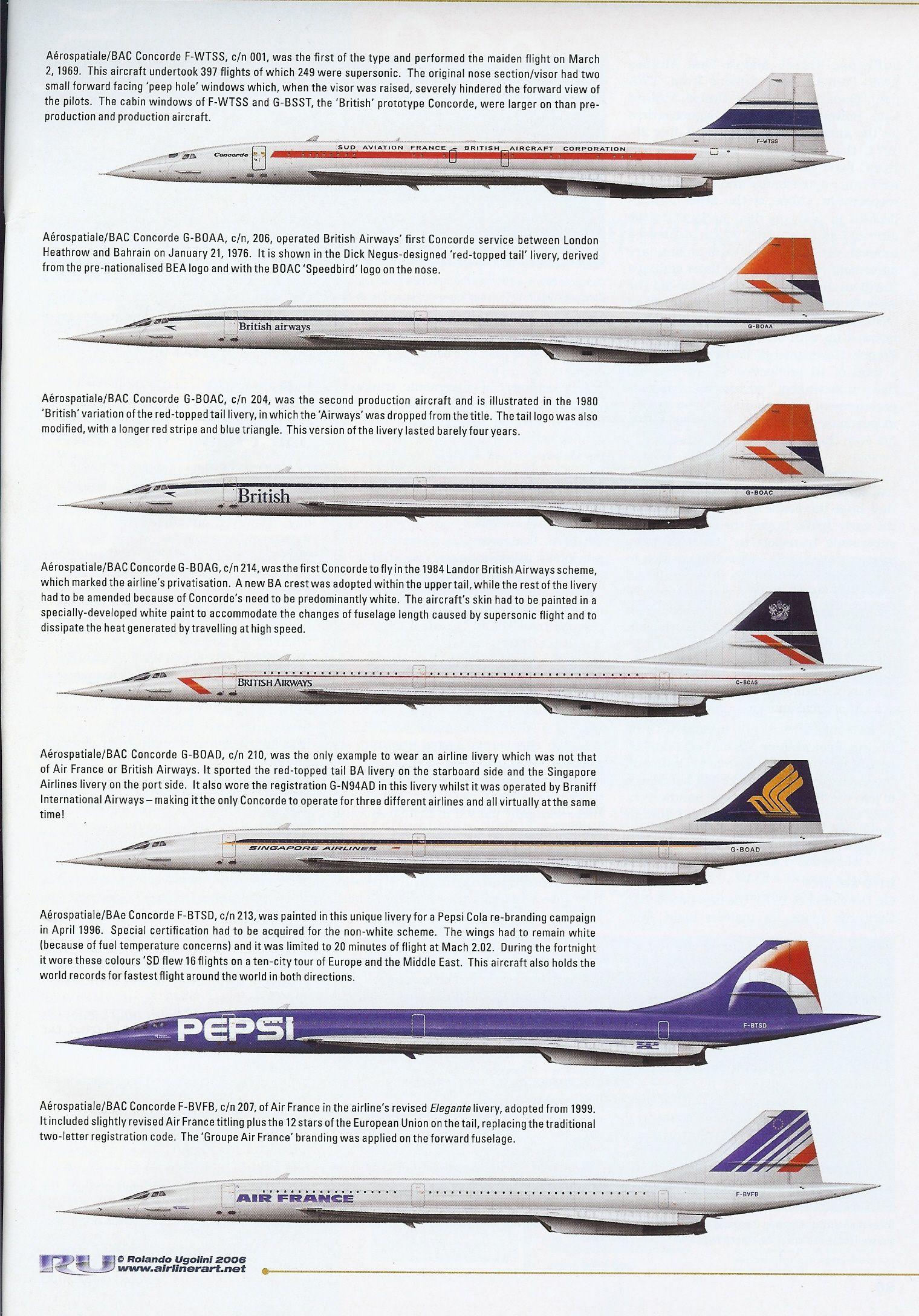 Red Triangle Airline Logo LogoDix