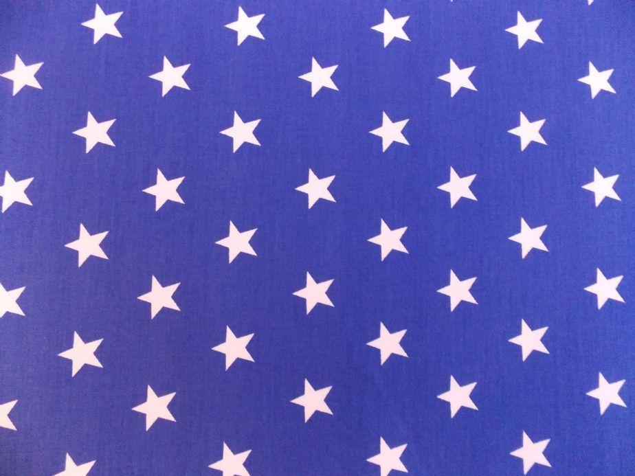 Blue and White Star Logo LogoDix