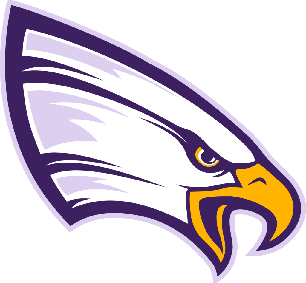 Purple Eagle Logo LogoDix