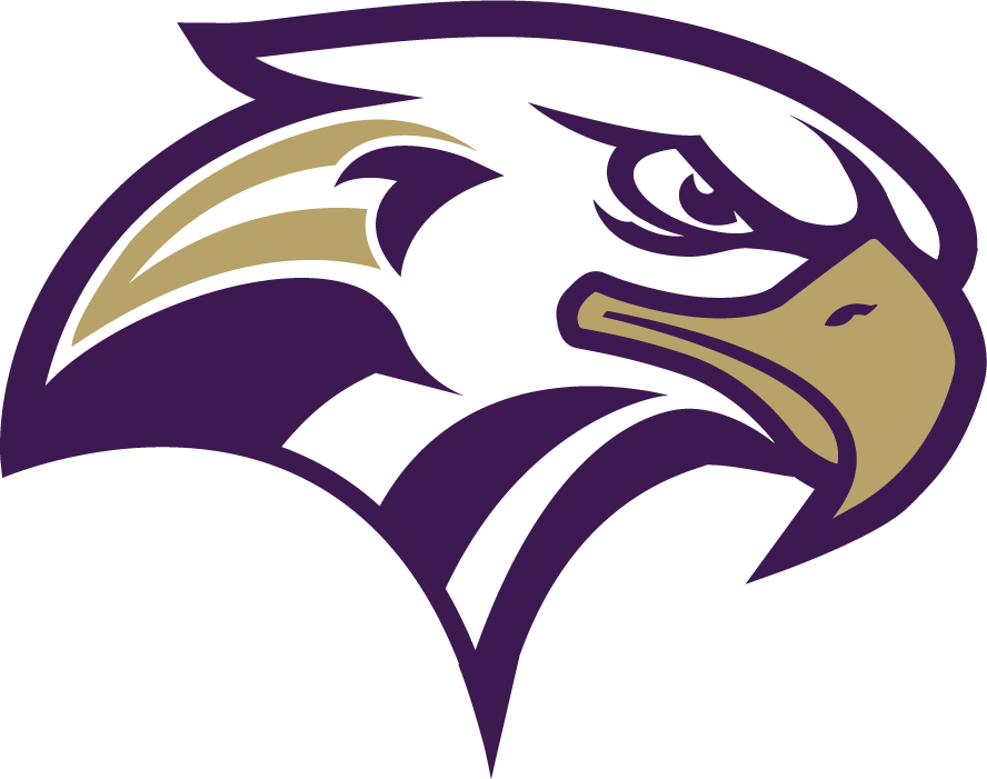 Purple Eagle Logo LogoDix