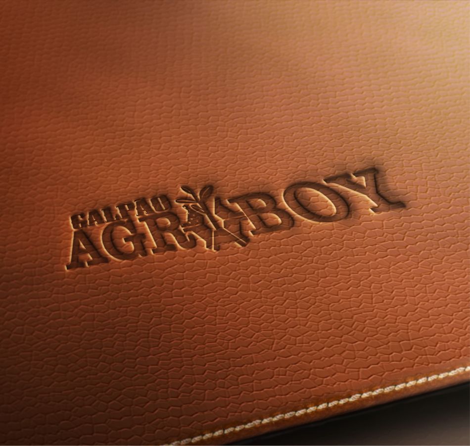 Criação de logo profissional para Loja Country Logo Profissional Criação de logotipos