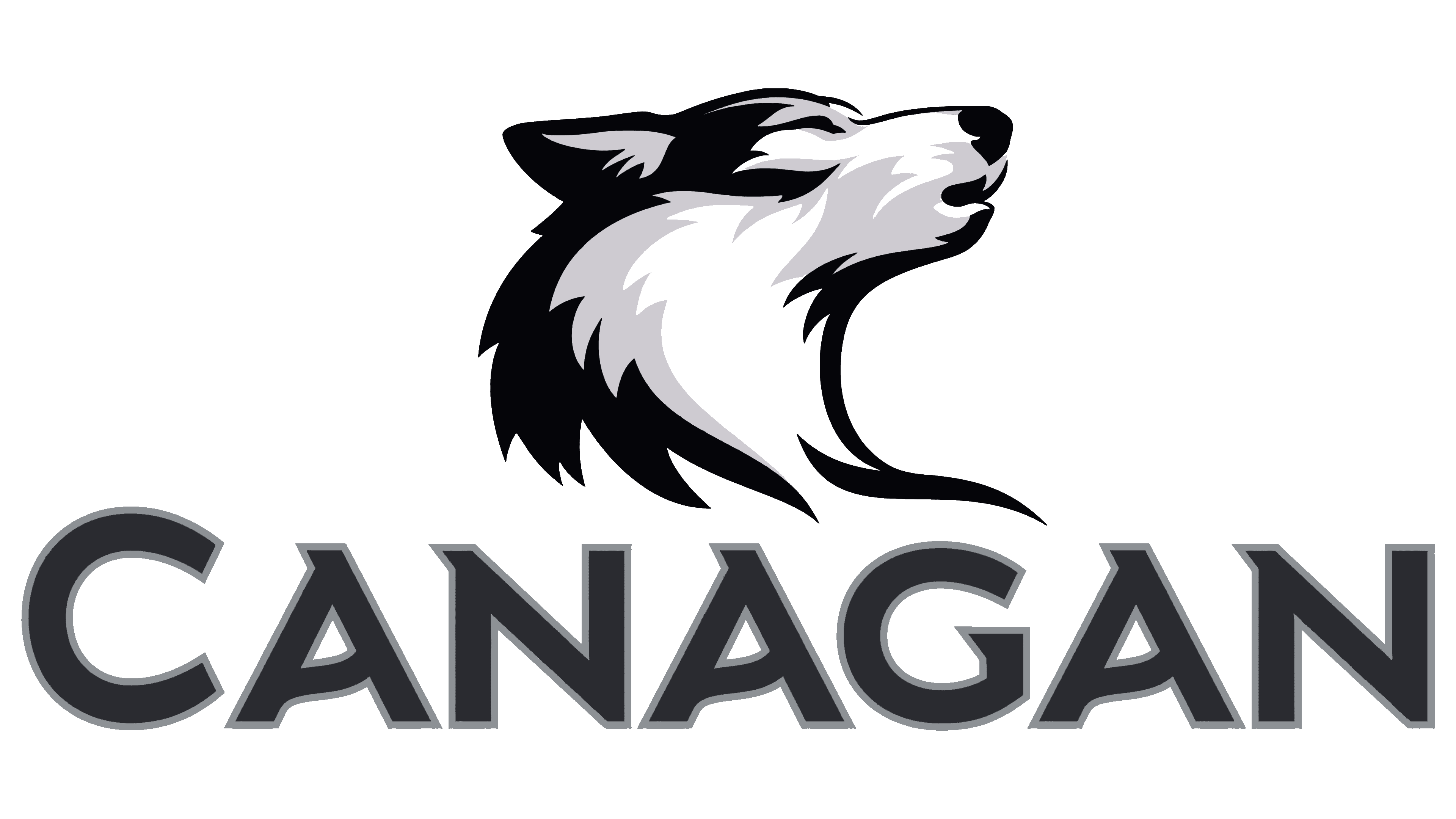 Top 20 Dog Food Brands