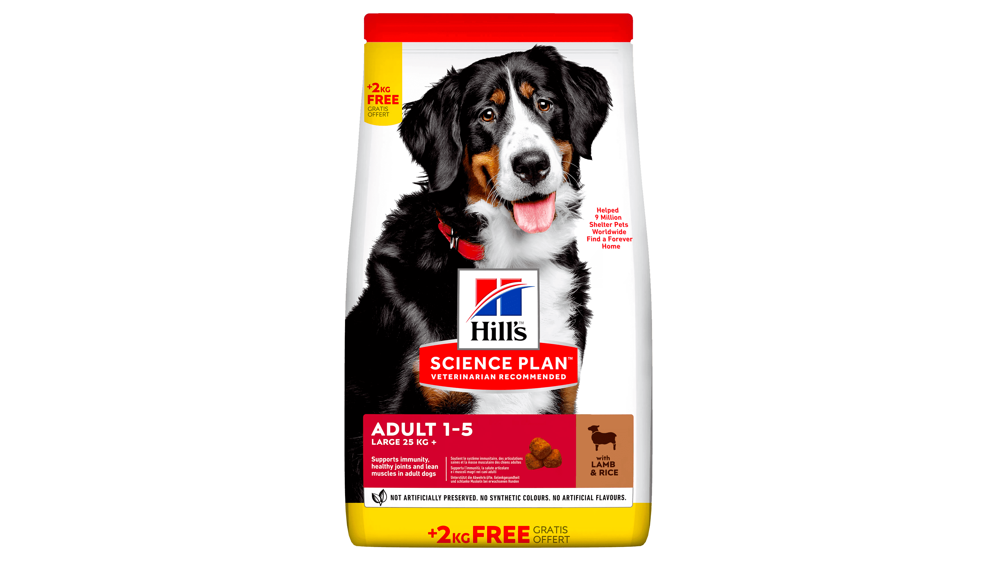 Top 20 Dog Food Brands