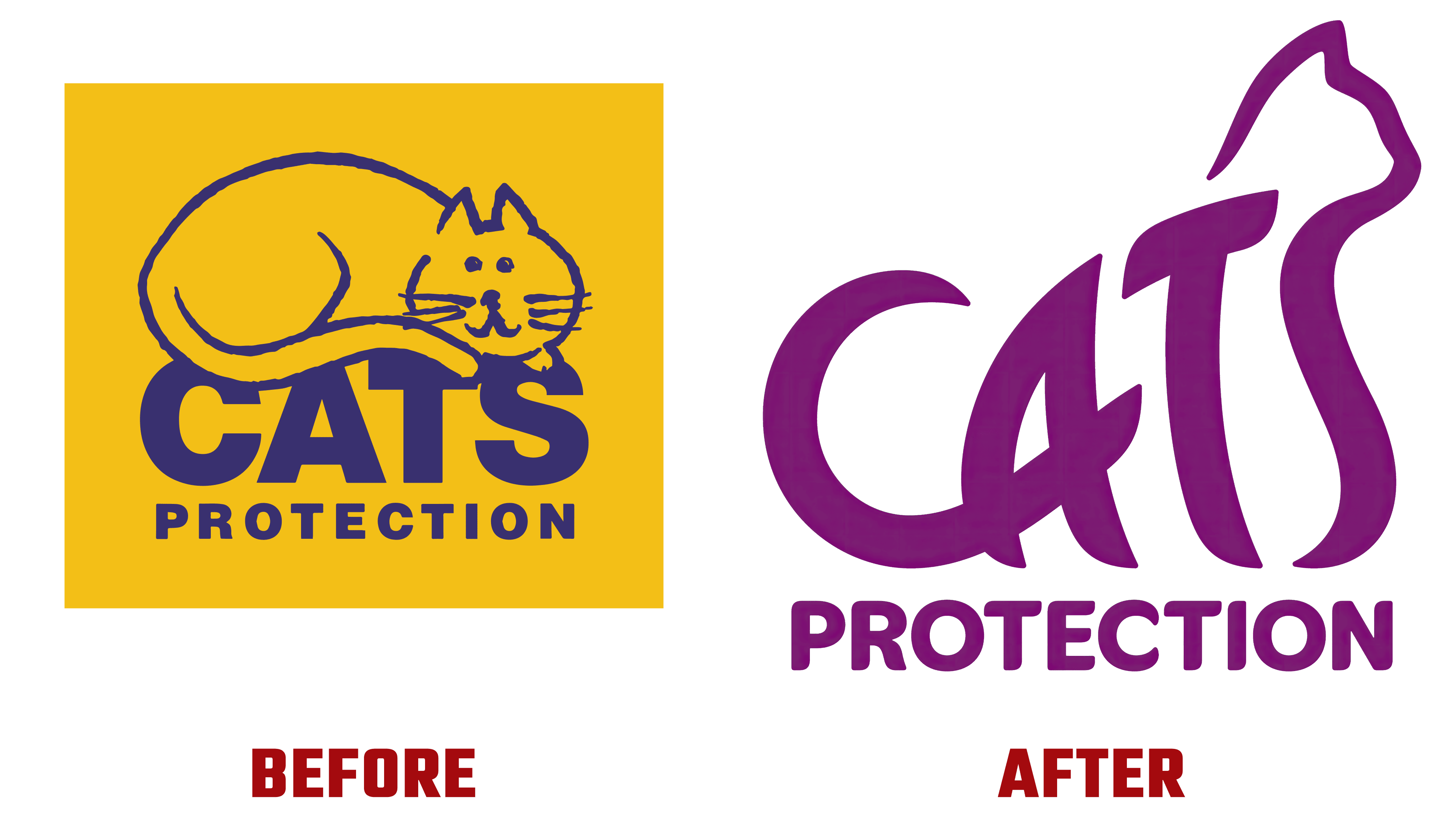 Cats Protection embodies modernity with a new logo.