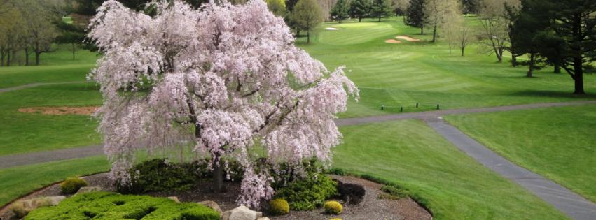 Spring Ford Country Club Course Profile Course Database