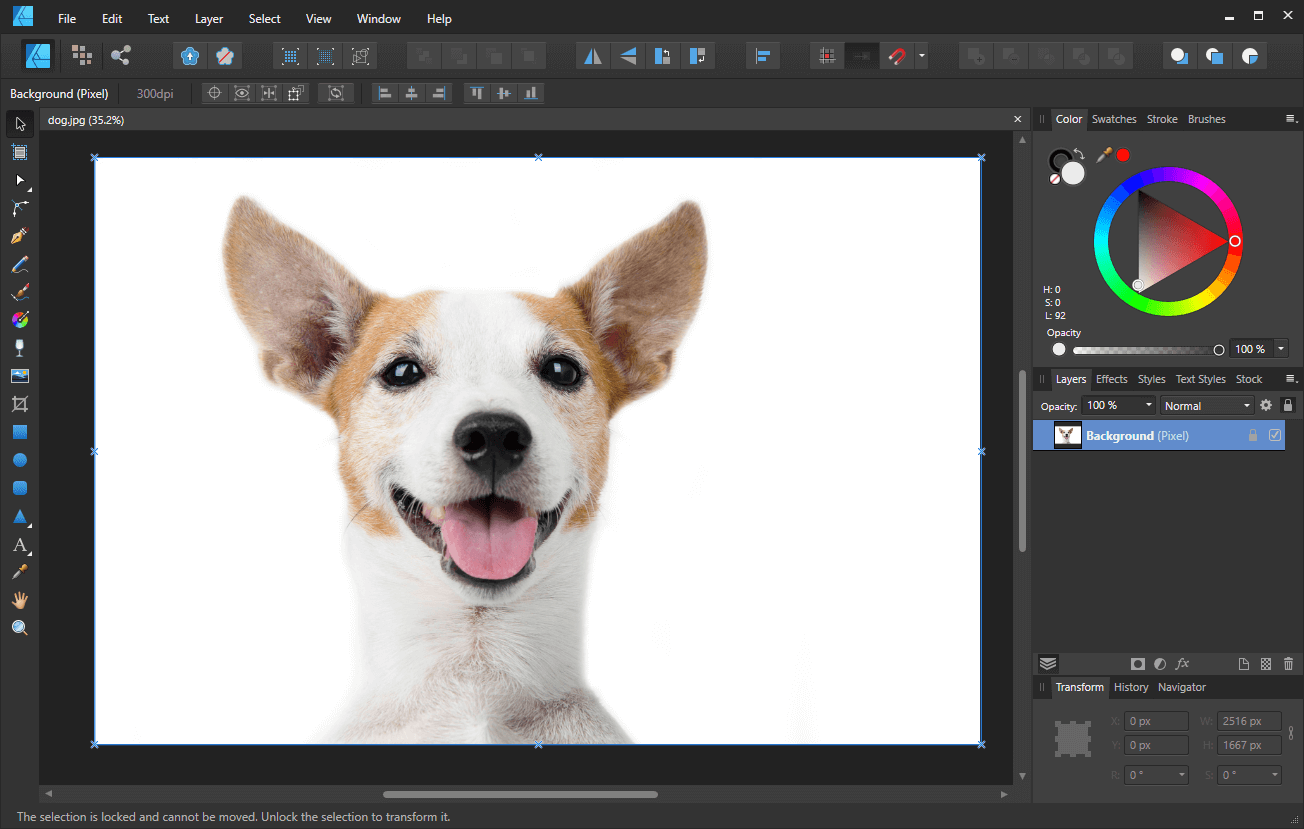 How To Remove A White Background with Affinity Designer LaptrinhX / News