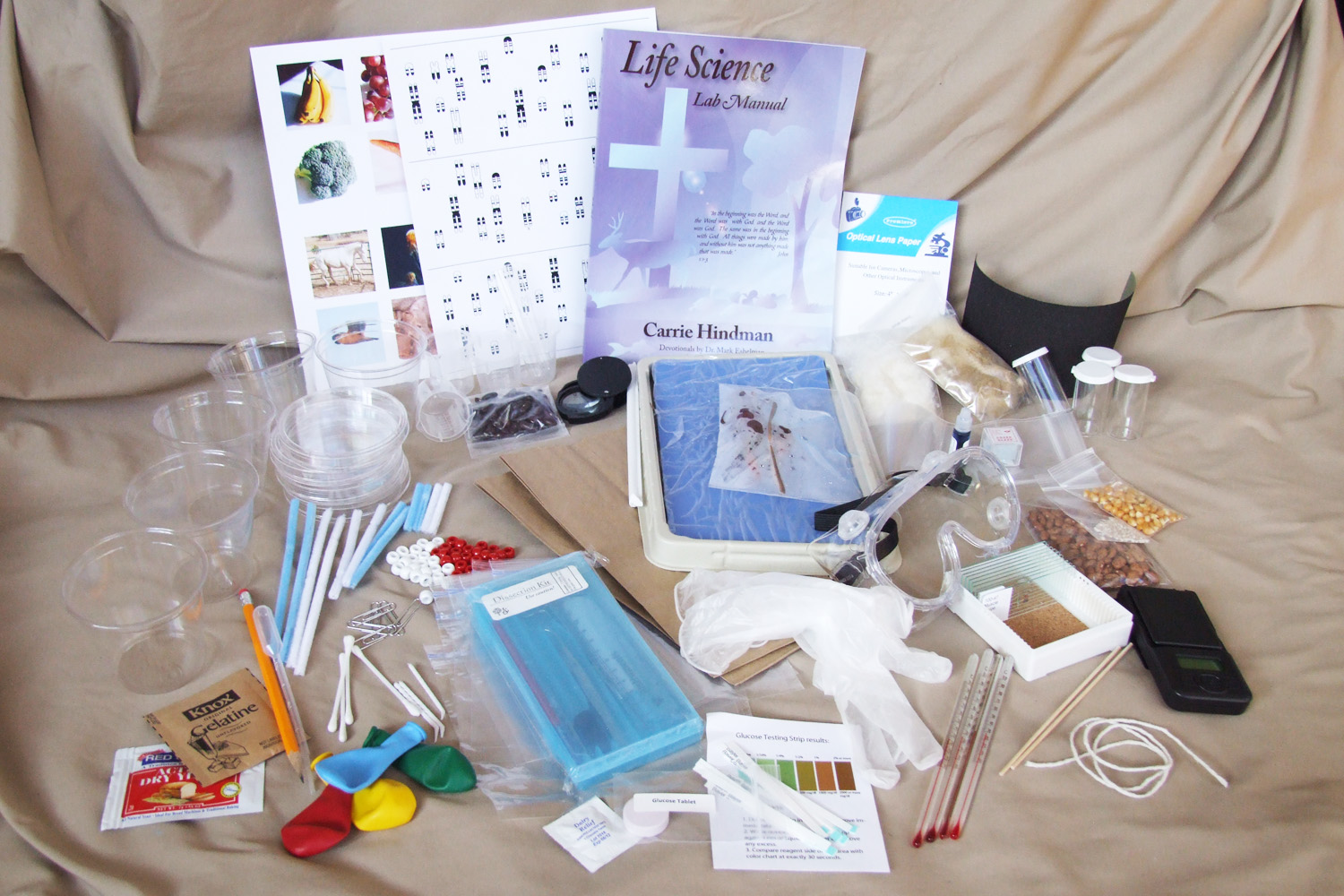 (Click on image for a larger picture)