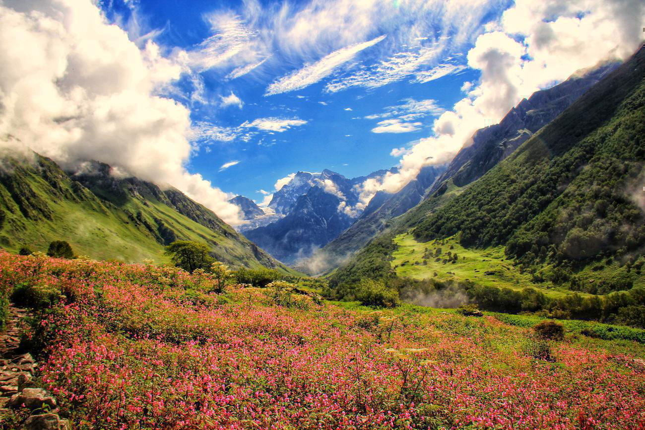 Valley Of Flowers Movie Valley Of Flowers Trekking Package, Uttaranchal 2020 An epic route
