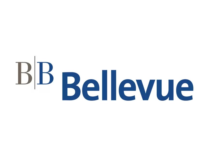 Bellevue Group Logo PNG vector in SVG, PDF, AI, CDR format