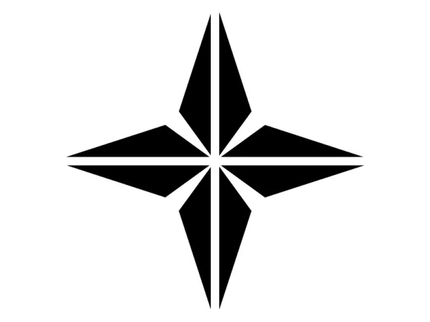 Star Style Compass Geometric Shape Logo Template PNG vector in SVG, PDF, AI, CDR format