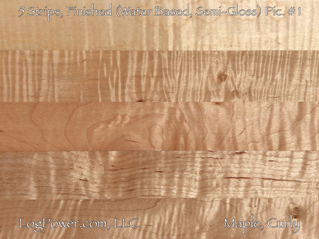 Tiger Maple Hardwood Flooring Flooring Site