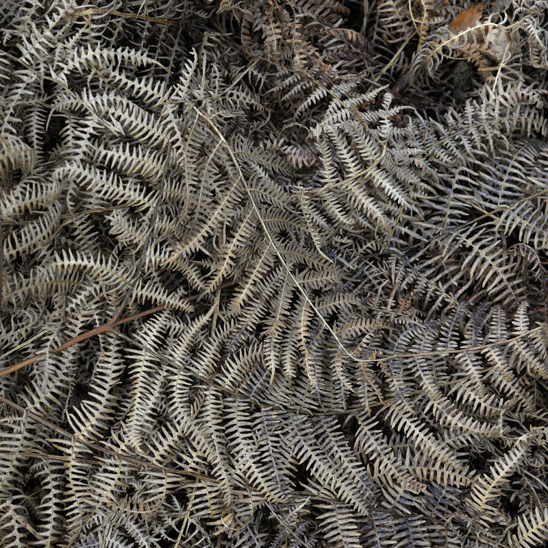 Bench Tor and Venford Reservoir Lois Wakeman
