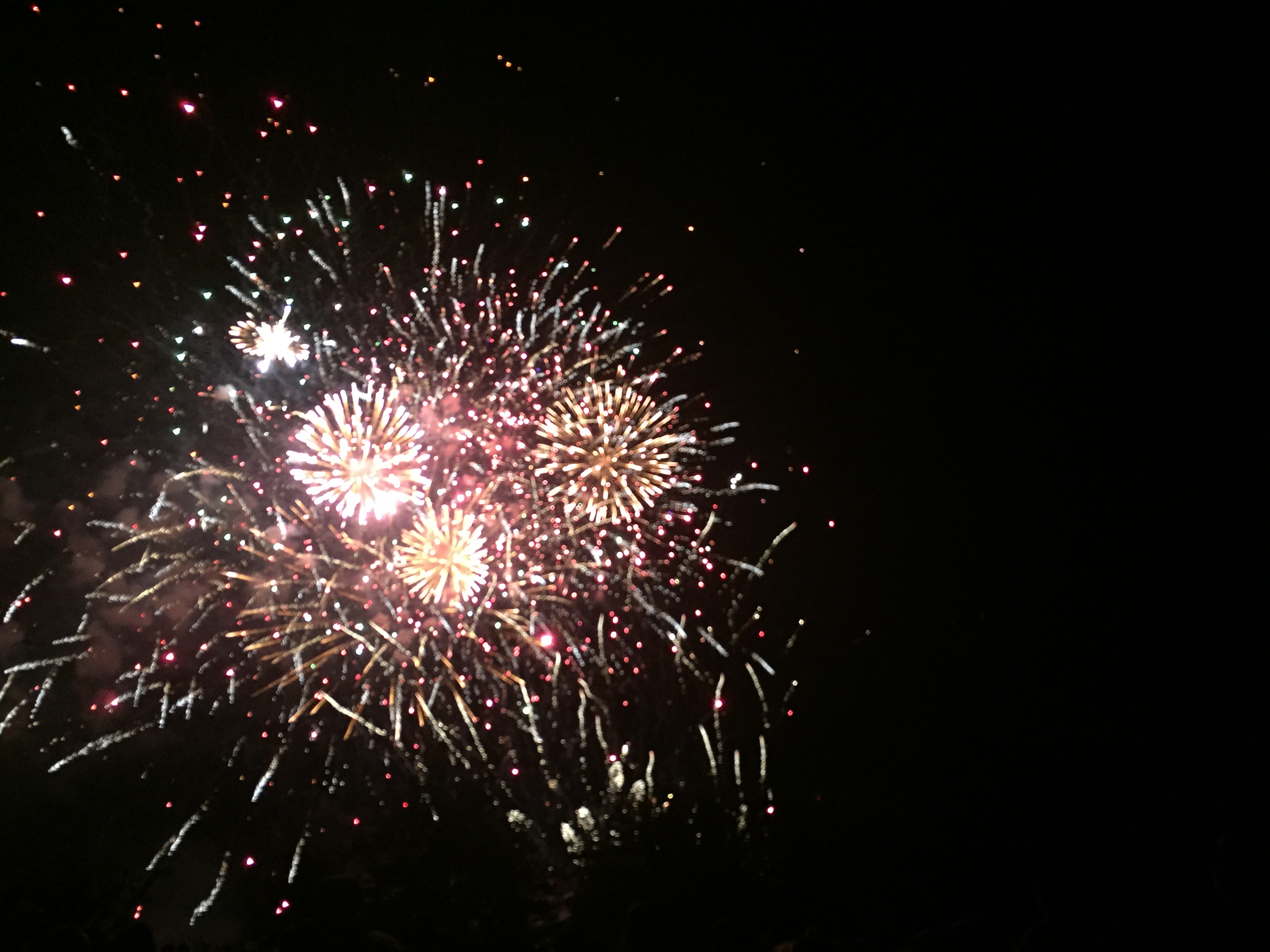 Feu d’artifice Parc Montjezet (ClermontFerrand/Auvergne) loisirsfm
