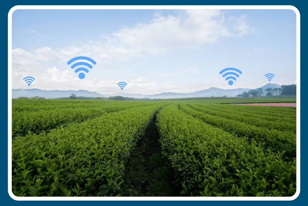 Rural Top Loja do Fuga pras Colinas