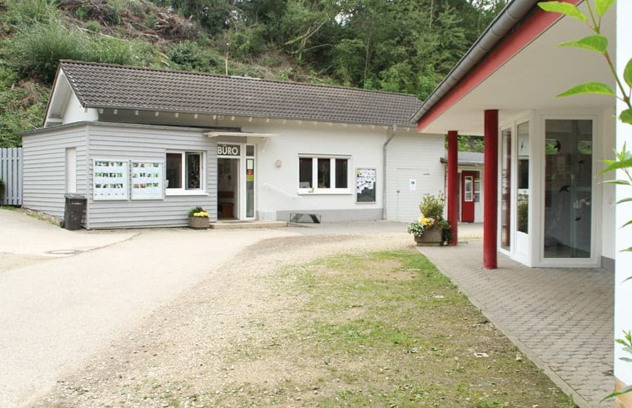 Tierheim Trier meldet Überfüllung