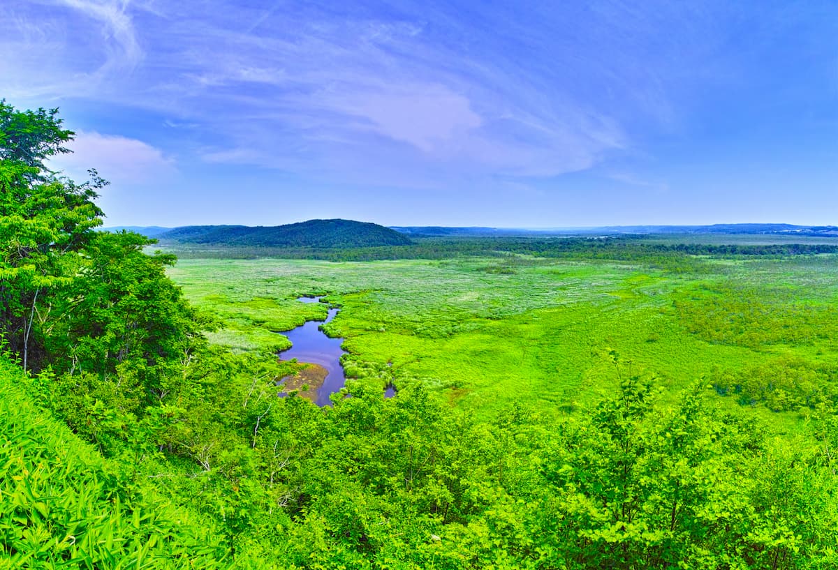 釧路湿原【北海道・釧路】絶景と体験｜ろけはんトラベル