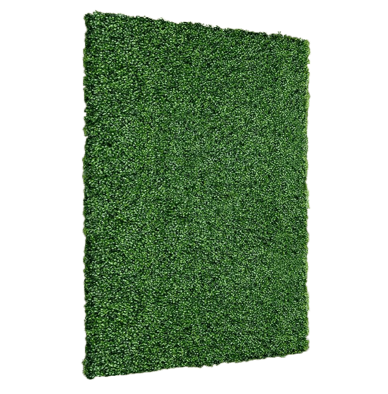 Boxwood Walls Loluma