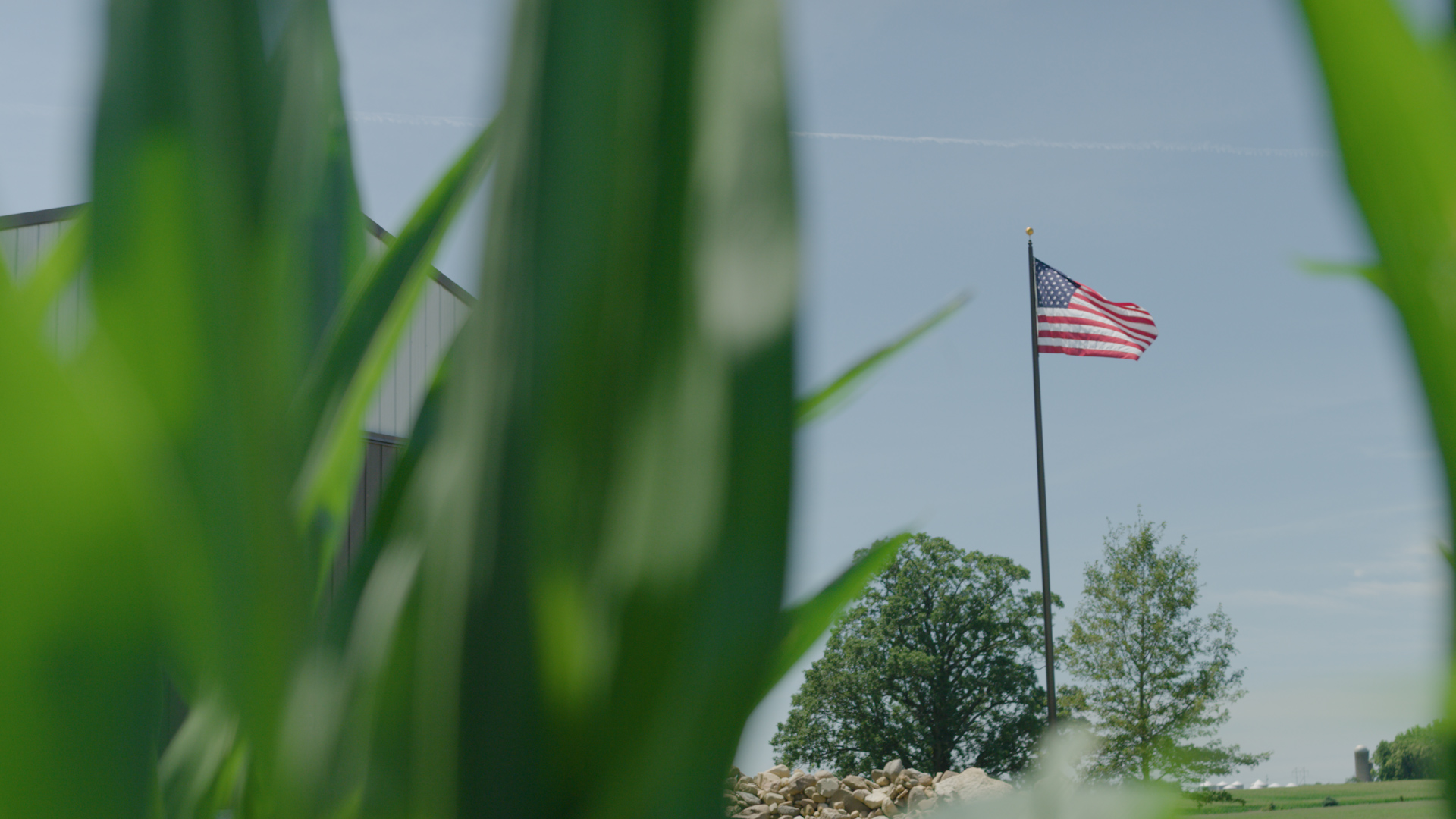 Loman Ray Cissna Park Office Serving The Danville Area