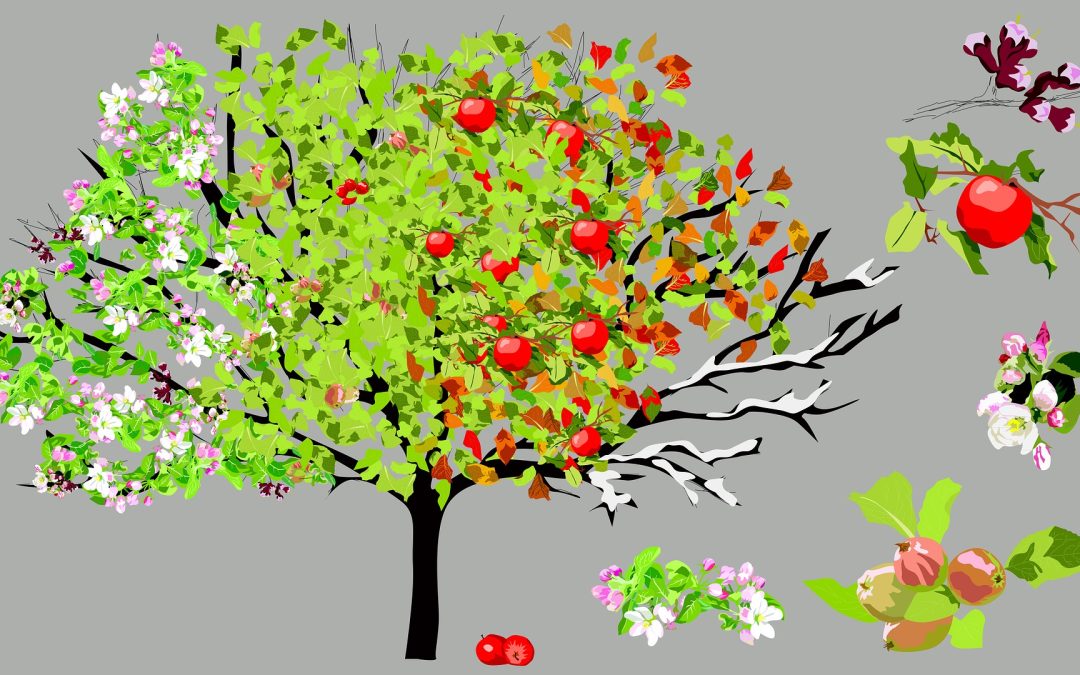 Prepare Your Fruit Trees for Winter Lombardi.ca Tree Services