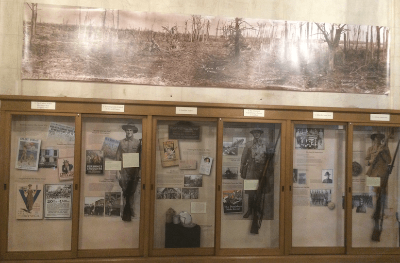 Display cases in Gallery Lombardy Studios