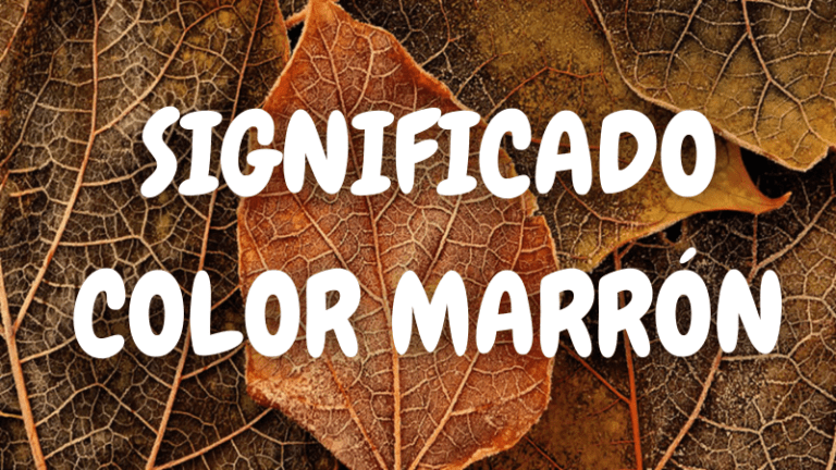 Que Significa el Color MARRÓN / CAFÉ Qué Simboliza y Representa