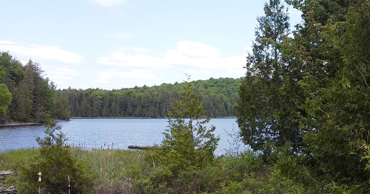 Zec Maison De Pierre Lac Tremblant Ventana Blog