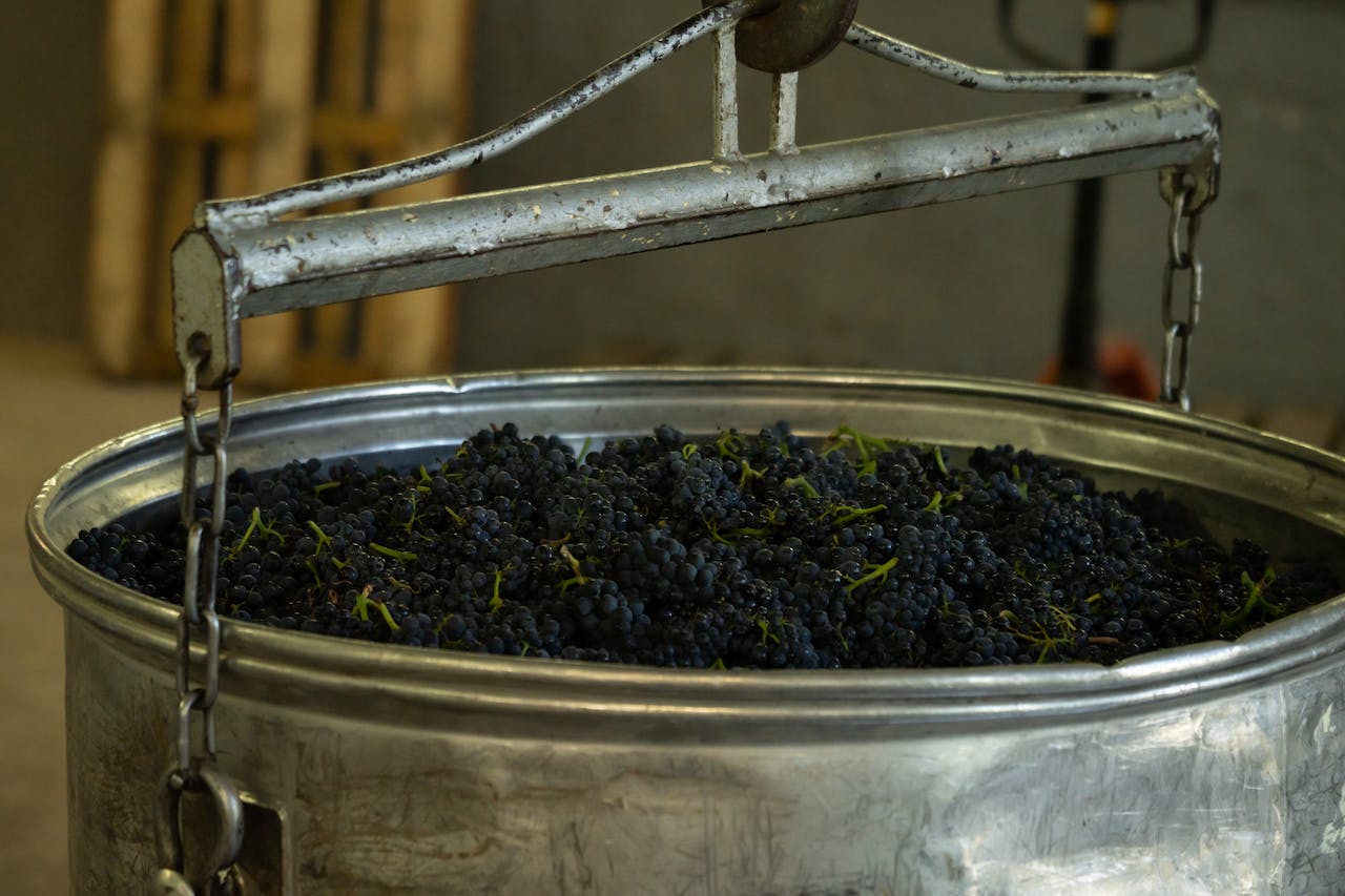 The Most Common Problems in Winemaking Winery Custom Crush Case