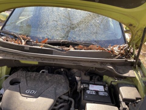 What Causes Cowl Water Leaks? - Car Mold Guys