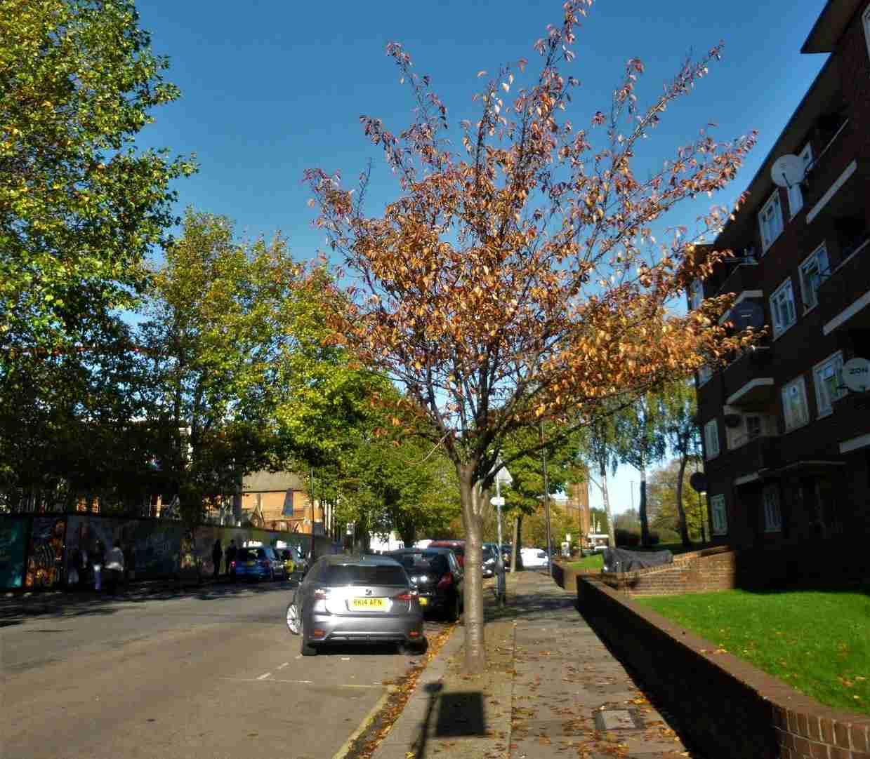 Is Harlesden Safe? (Plus Other FAQS)