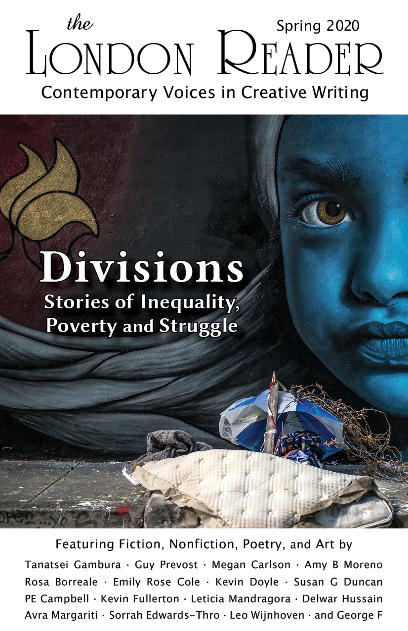 Read Download The 21 Divisions PDF – PDF Download