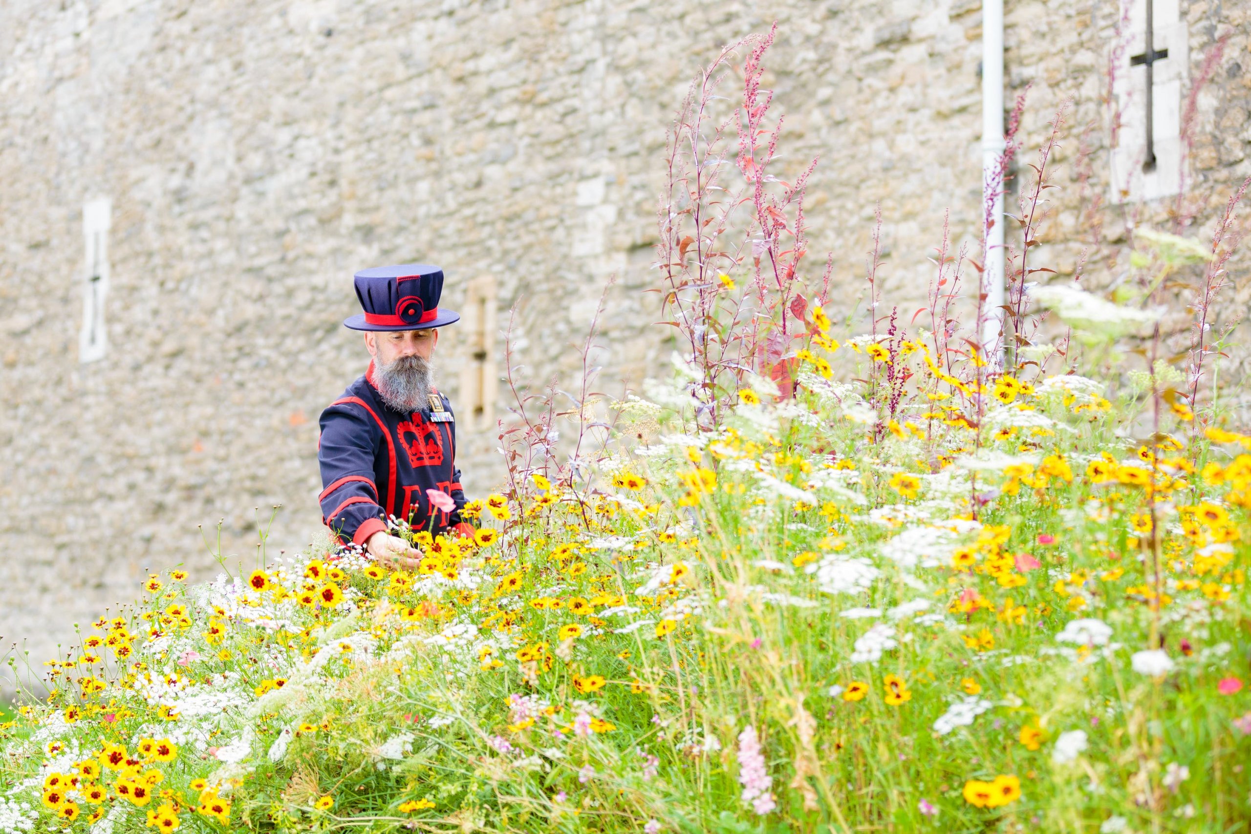 ‘Superbloom’ field of flowers to surround Tower of London for Platinum