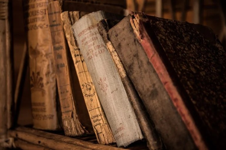 AnonIB Archive Exploring Its History, Impact, and Legal Ramifications(04)