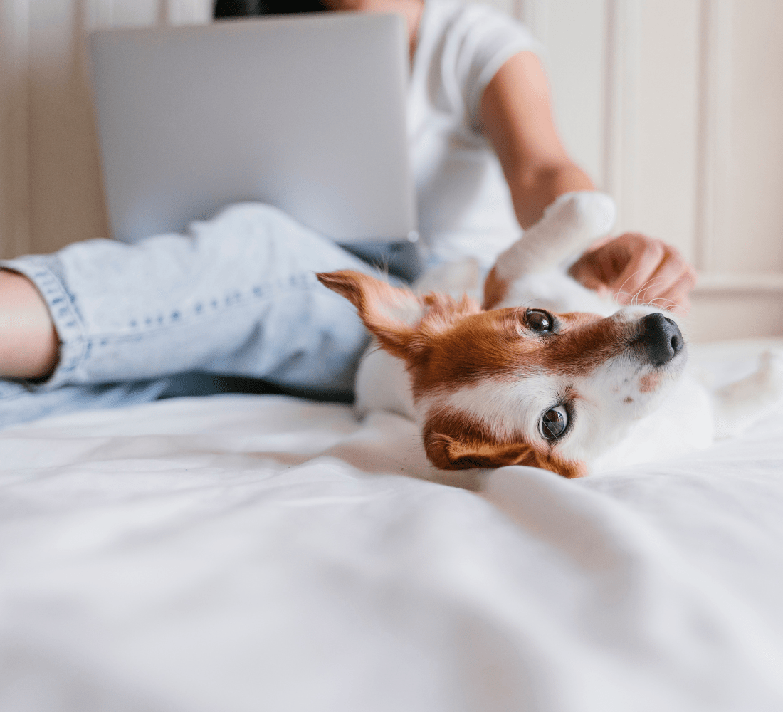 Resources Lone Oak Veterinary Clinic