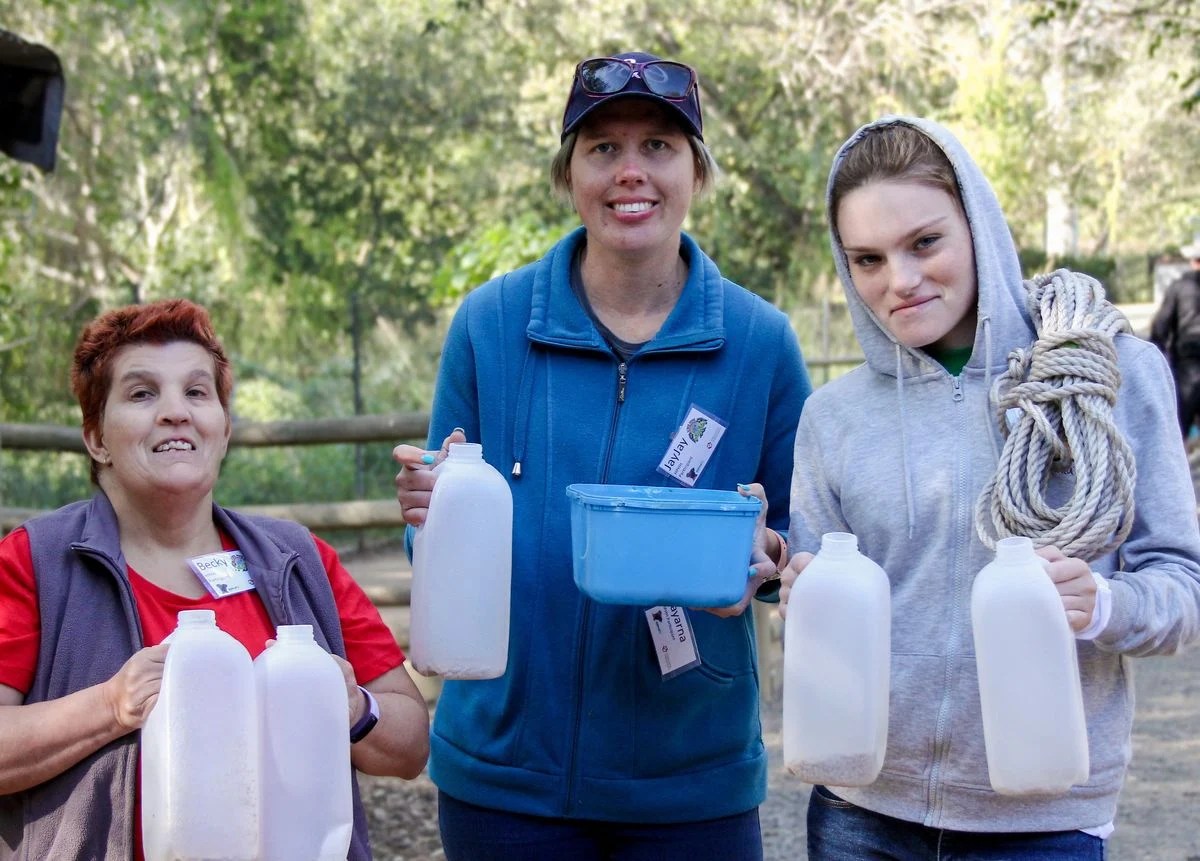 Teaming up with Happy Paws Happy Hearts Lone Pine Koala Sanctuary