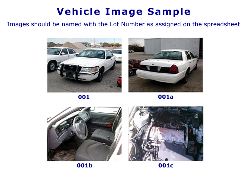 Lone Star Auctioneers, Inc. Auction Site