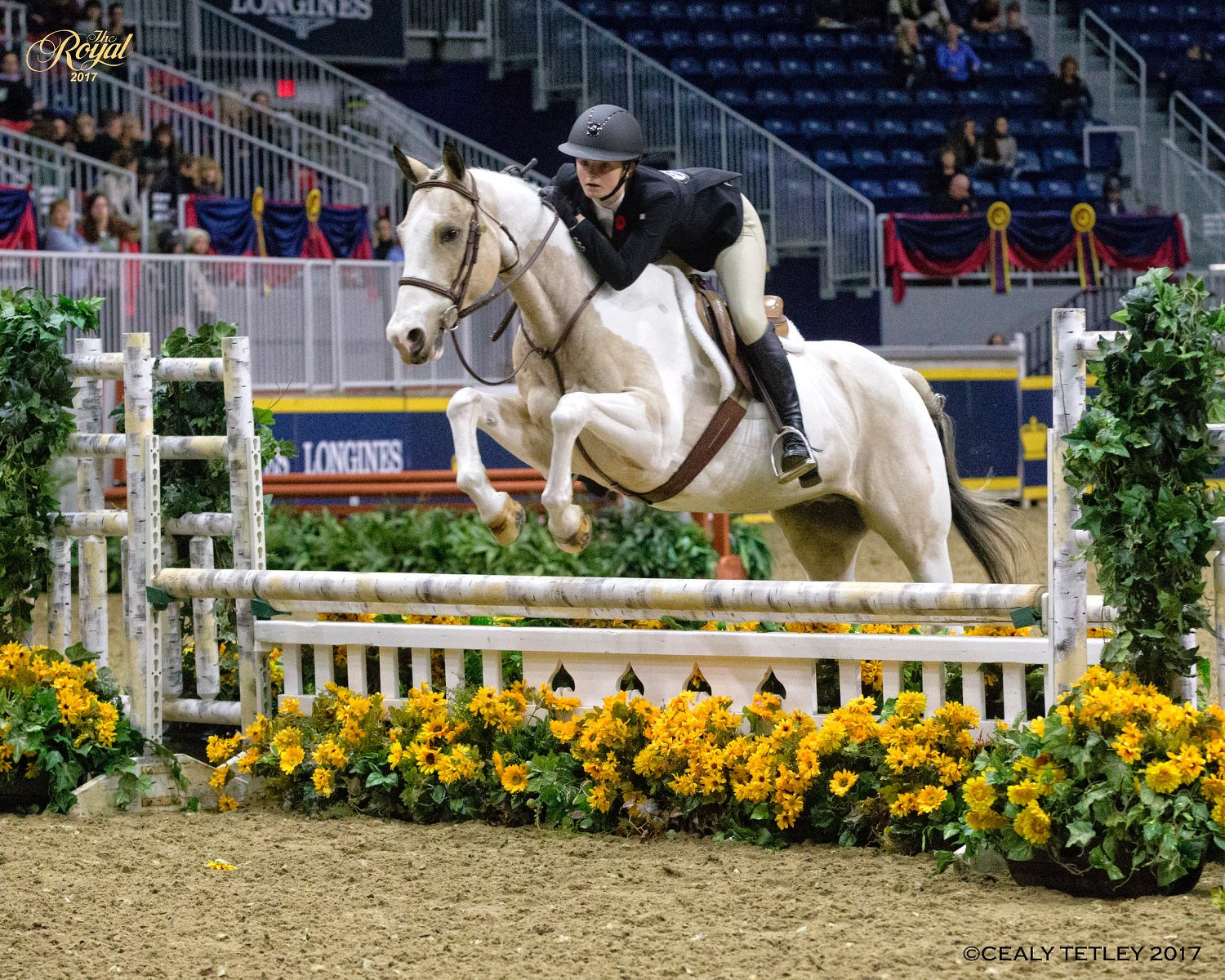 RWF1700651 Lone Wolf Farm site